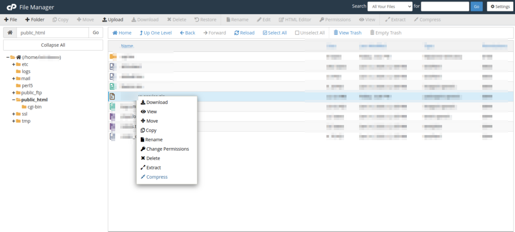 Extract ZIP File