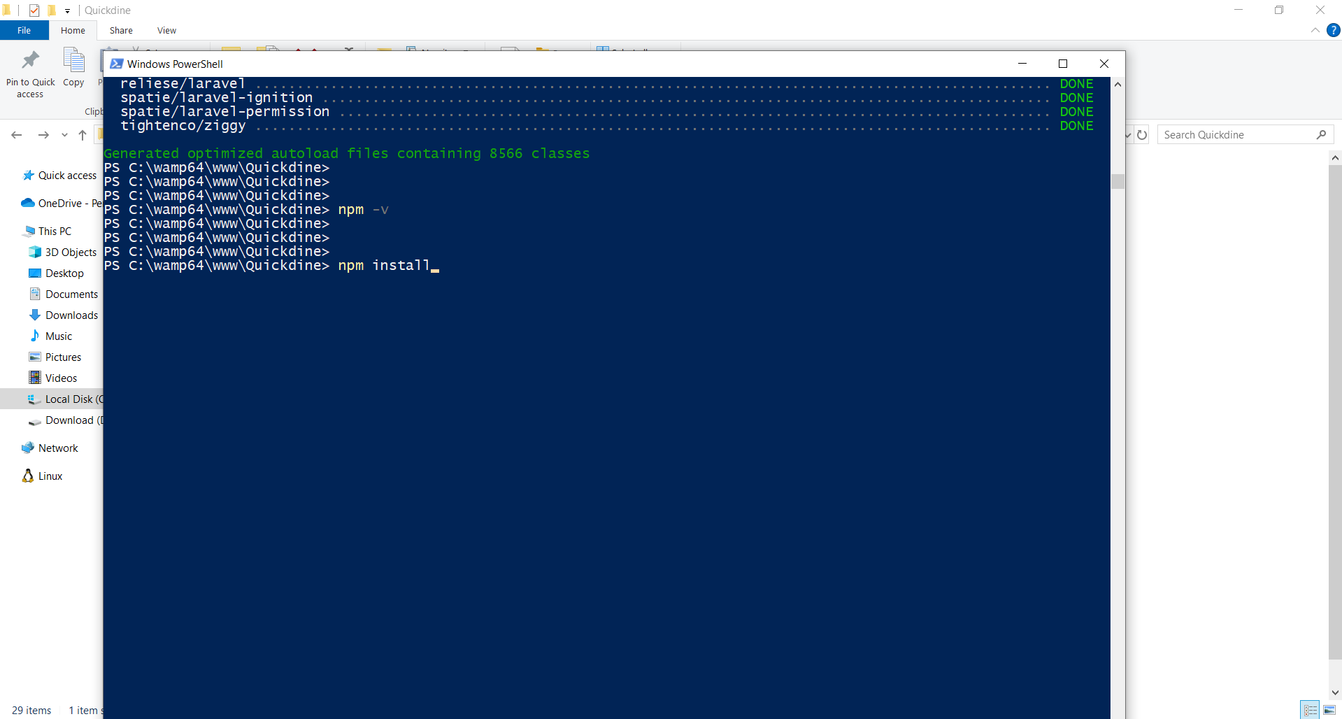 Run NPM Install
